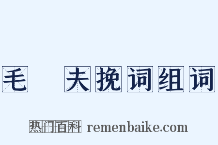 毛崈夫挽词组词是什么意思的图片